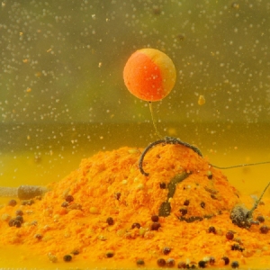 Vlhčené hotové kvasené krmivo Haldorádó FermentX FX1