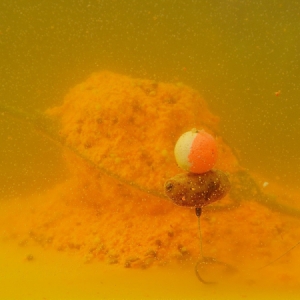 Vlhčené hotové kvasené krmivo Haldorádó FermentX FX1